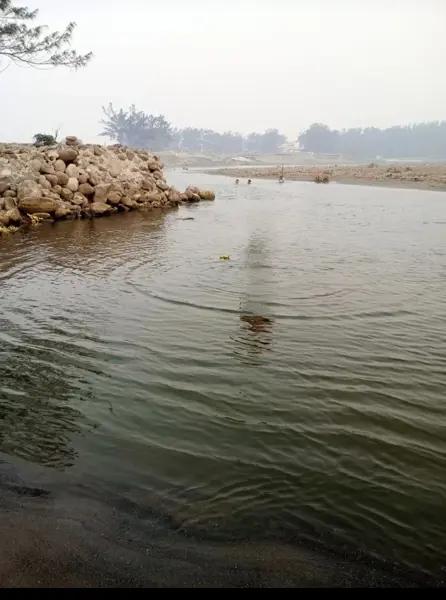 Terreno en venta en Barra de Chachalacas, Úrsulo Galván, Veracruz de Ignacio de la Llave Terreno en venta en Barra de Chachalacas, Úrsulo Galván, Veracruz de Ignacio de la Llave
