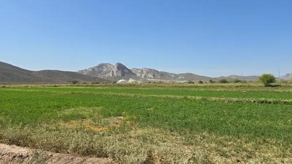Terreno en venta en Los Angeles, Lerdo, Durango Terreno en venta en Los Angeles, Lerdo, Durango