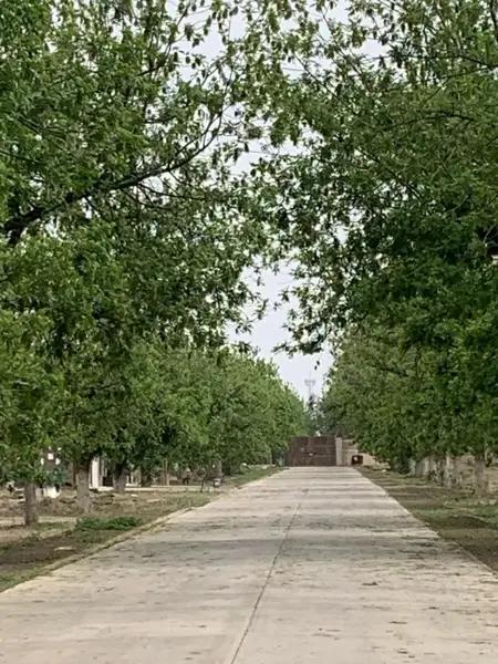 Terreno en venta en El Quemado, Gómez Palacio, Durango Terreno en venta en El Quemado, Gómez Palacio, Durango