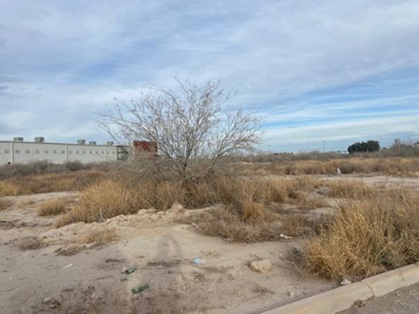 Terreno en venta en Parque Industrial Ferropuerto, Torreón, Coahuila de Zaragoza Terreno en venta en Parque Industrial Ferropuerto, Torreón, Coahuila de Zaragoza