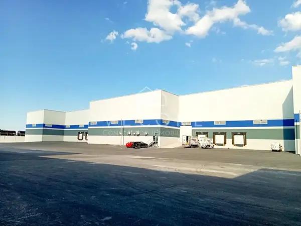 Bodega en Renta en Parque Industrial Escobedo, General Escobedo, Nuevo León Bodega en Renta en Parque Industrial Escobedo, General Escobedo, Nuevo León
