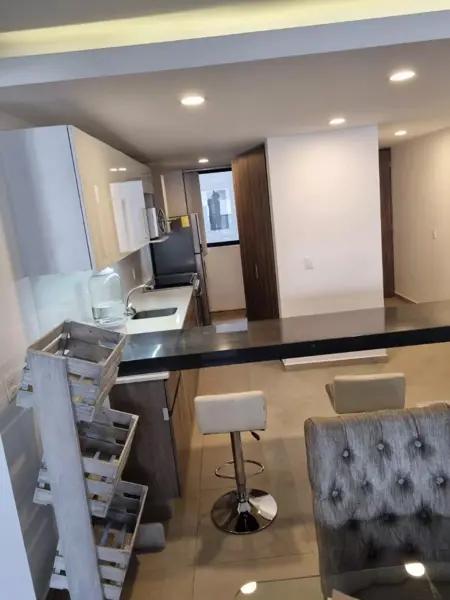 Departamento Pet Friendly Departamento Pet Friendly